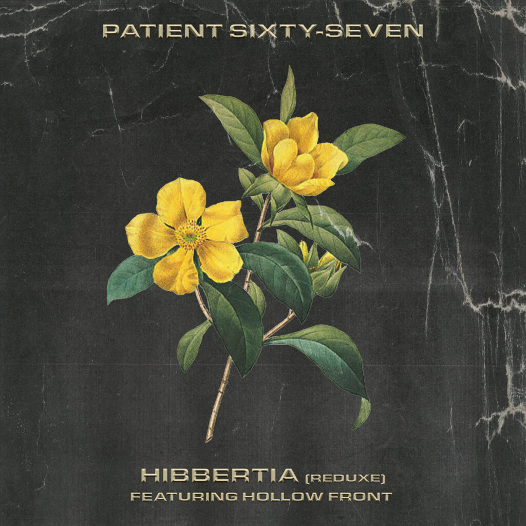 PATIENT SIXTY-SEVEN / “Hibbertia